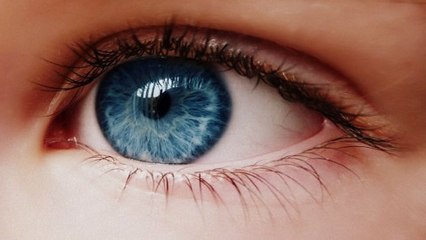 D'où vient la couleur des yeux bleus ? Une origine plus étonnante que vous ne pensez