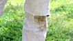 Here’s how to remove grass stains from clothing