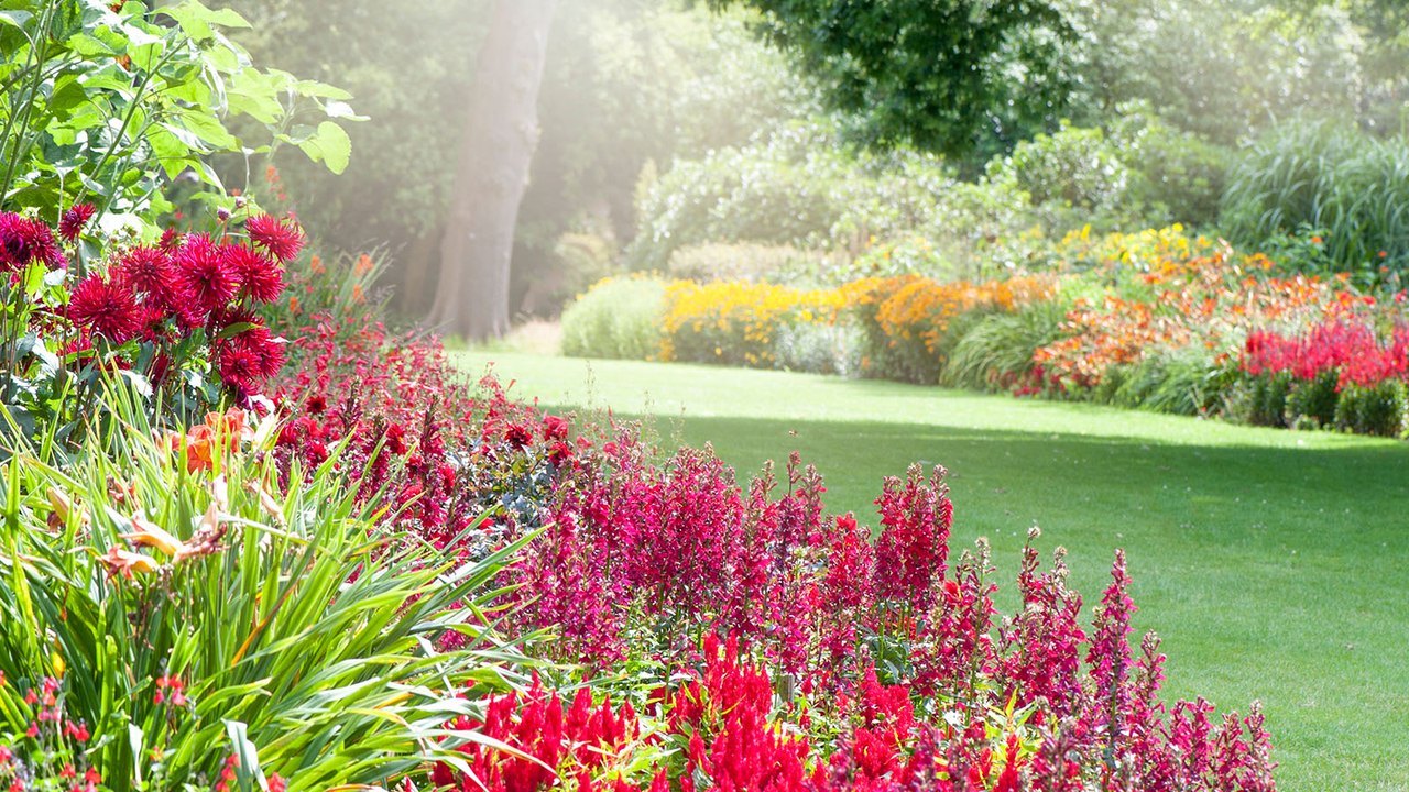 'Gieß'-ABC: Mit diesen Tipps könnt ihr euren Garten zu jeder Jahreszeit genießen