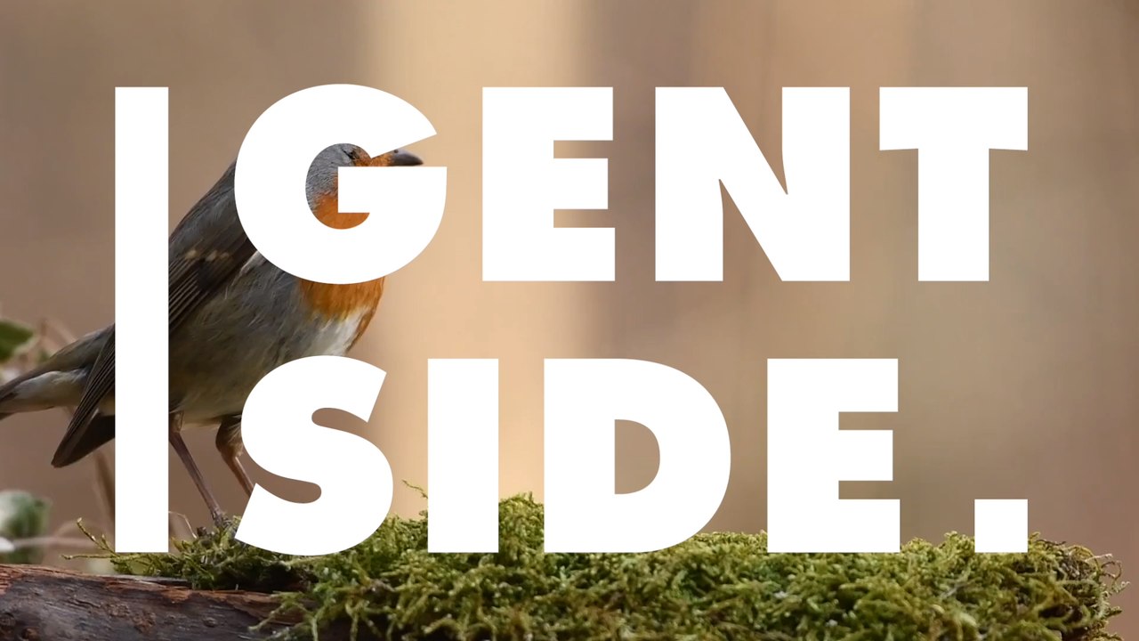 Beunruhigende Entwicklung: Aus einem bestimmten Grund werden die Tiere immer kleiner