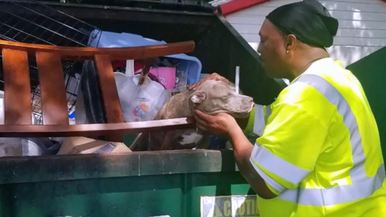 Hündin ist dem sicheren Tod geweiht: Dann kommt Müllmann Danny!