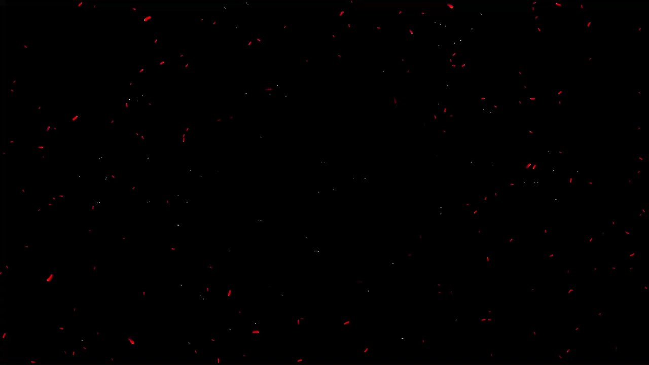 #StayTheFuckHome: So klappt es am besten mit der Selbstquarantäne