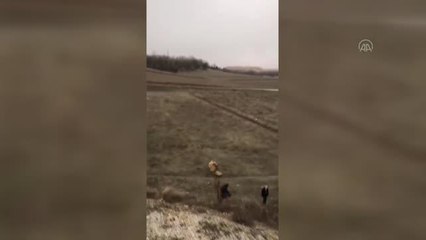 Son dakika haberleri | İşçi servisinin devrildiği kazada 6 kişi yaralandı