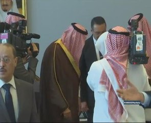 Is it a good idea to sell a stake of RAPID to the Arabs?