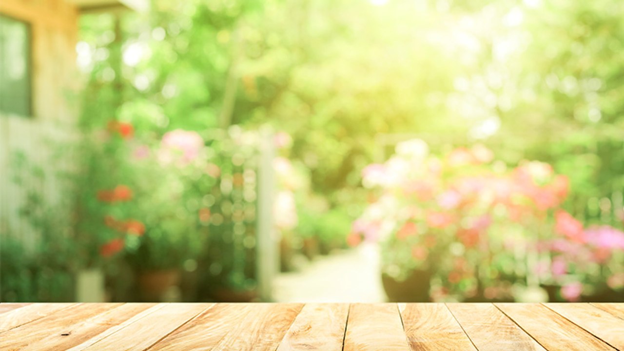 Pflanzliche Notfallapotheke: Diese Gartenpflanzen sind Heilpflanzen