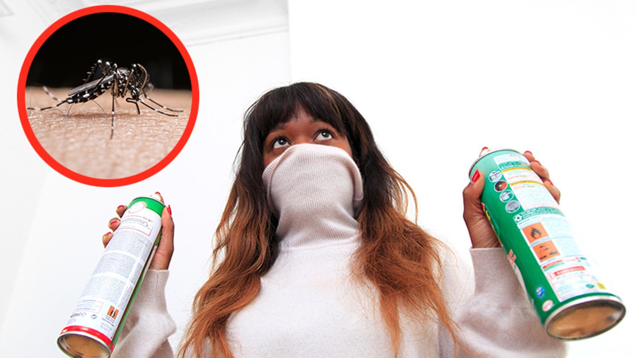 DIY-Tipp gegen Mücken: Mit diesem Rezept haltet ihr euch Mücken vom Leib