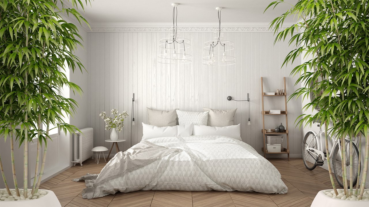 Mit diesen Hauspflanzen vertreibt ihr Schlafstörungen aus eurem Schlafzimmer