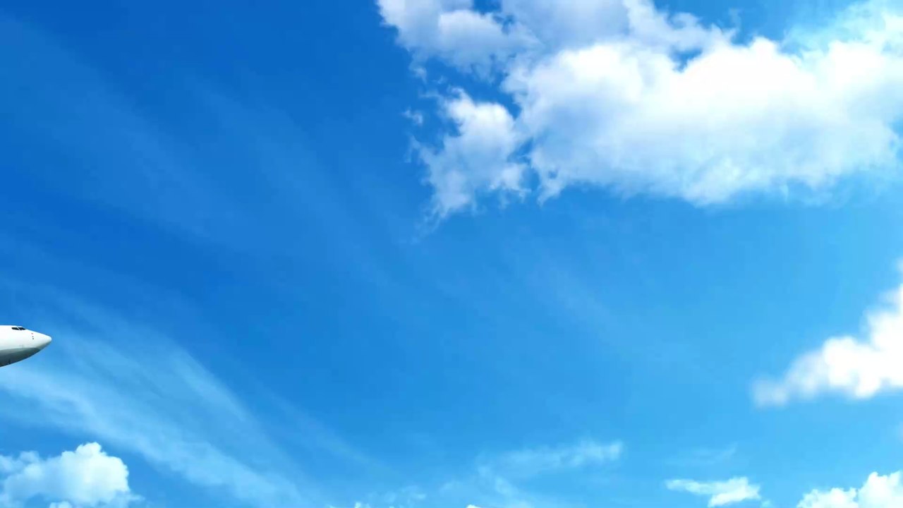 Hund im Flugzeug: Er soll Entschädigung erhalten!