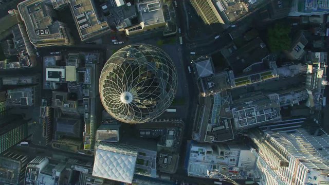 A man took a photo of a squirrel, but one detail had him really worried