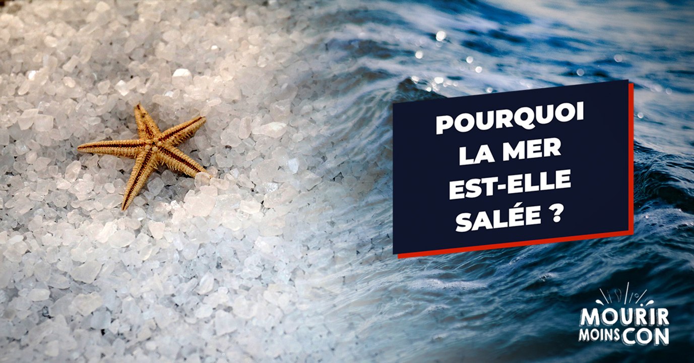 Pourquoi y a-t-il du sel dans la mer ?