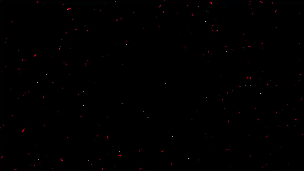 Knoblauch und Kokain gegen Corona: Das sind die verrücktesten Gerüchte zu Covid-19