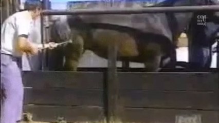 'Fass mich nicht an': Diese Sternzeichen ertragen keinen Körperkontakt