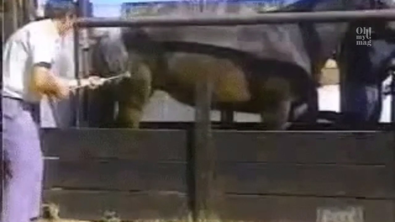 'Fass mich nicht an': Diese Sternzeichen ertragen keinen Körperkontakt