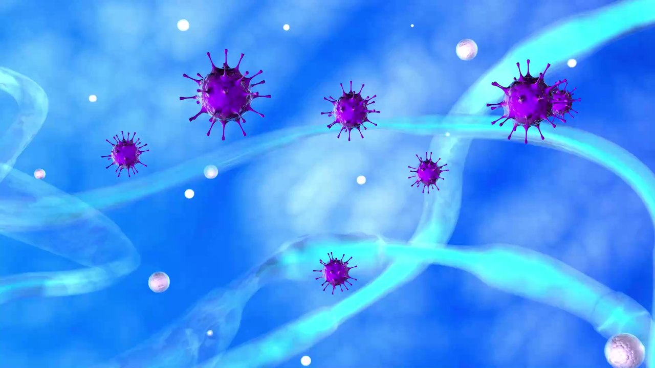 Forscher über Corona: '60 % der Weltbevölkerung könnten sich infizieren'