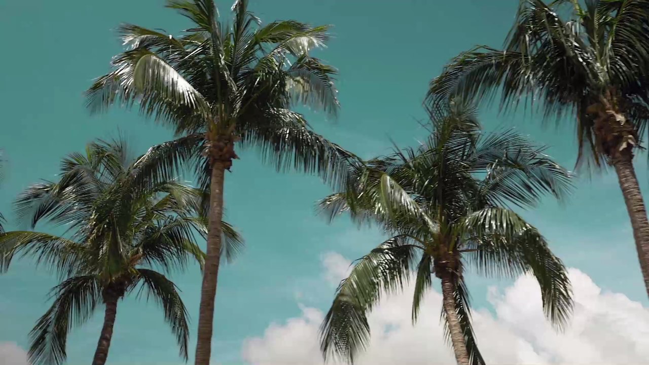 'Die bringen nichts in Gang': Désirée Nick rechnet mit junger Generation ab