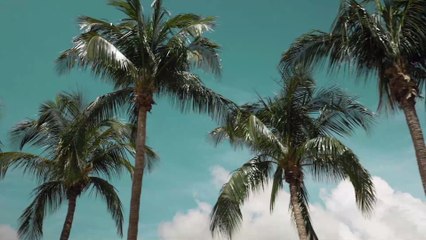 "Die bringen nichts in Gang": Désirée Nick rechnet mit junger Generation ab