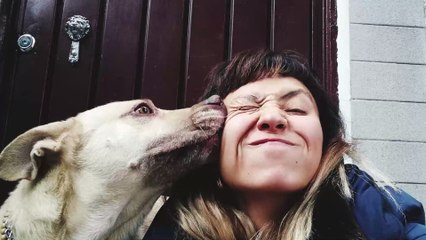 Überträgt sich das Coronavirus auch von Hunden auf uns Menschen?