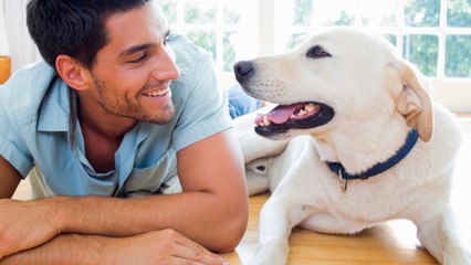 Sooam Biotech, la société sud-coréenne qui propose de cloner votre chien mort pour 90 000 euros