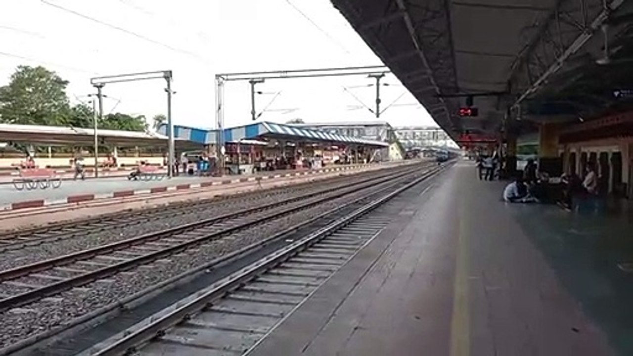 शाही ट्रेनों का रॉयल लुक भी नहीं खींच पा रहा यात्रियों को