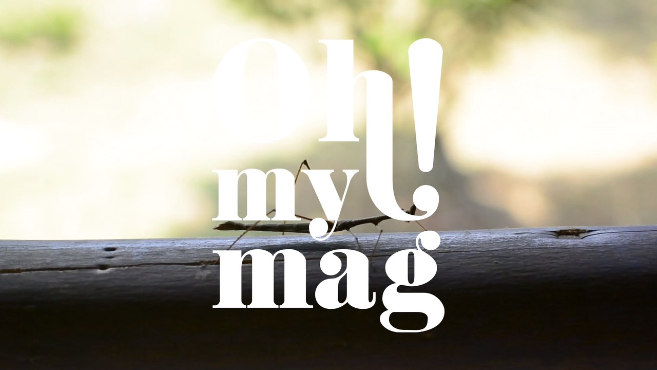 Gottesanbeterin: Mit dieser Stellung heizt ihr eurem Liebesleben ein!