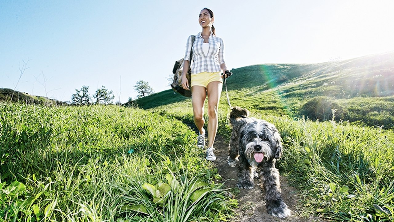 Nach Spaziergang mit Hund hat junge Frau plötzlich seltsame Zeichen auf ihren Beinen