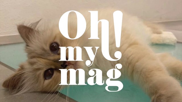 Karl Lagerfeld: Endlich gibt es Lebenszeichen seiner Millionenerbin Choupette