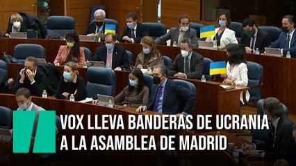 Vox lleva banderas de Ucrania al Pleno de la Asamblea de Madrid