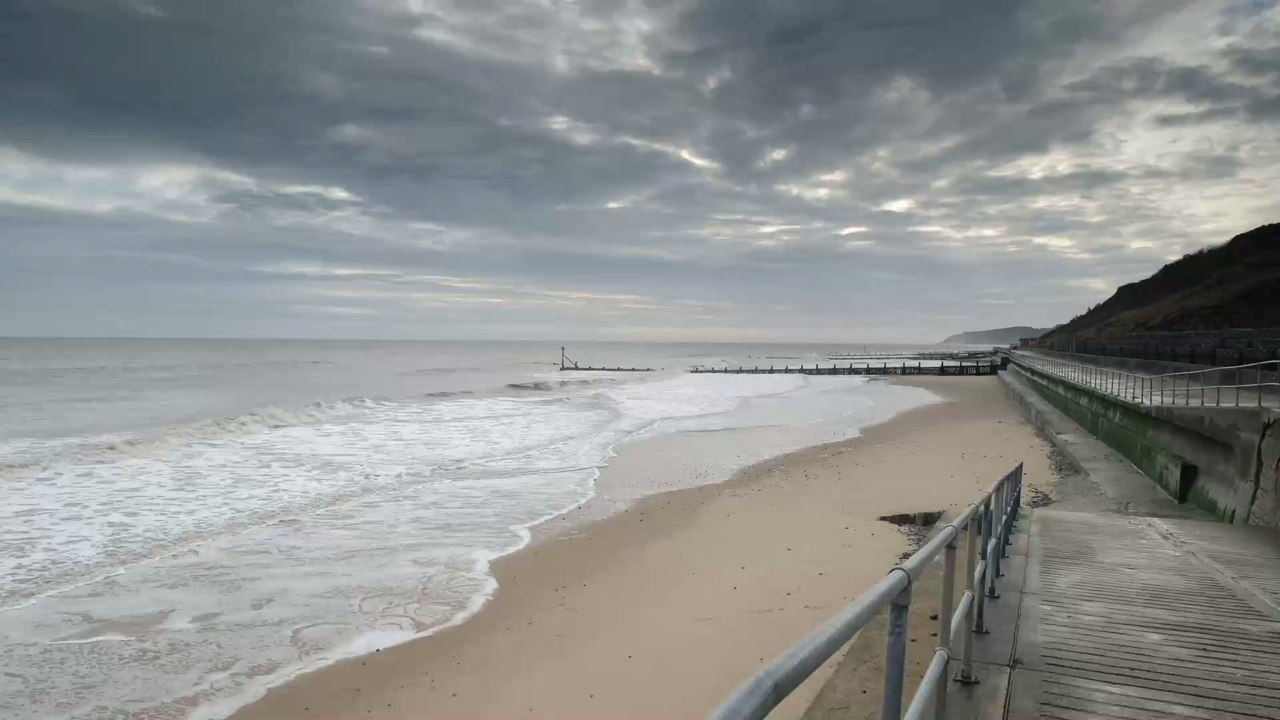 Nach 240 Jahren: Dieser legendäre Raubvogel kehrt nach Europa zurück