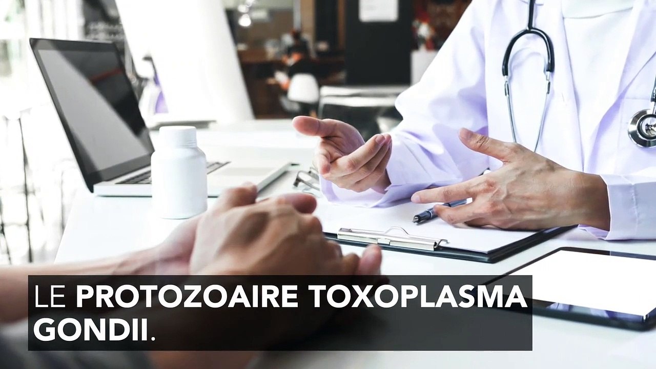 Toxoplasmose : symptômes, traitement, grossesse, quels sont les risques ?