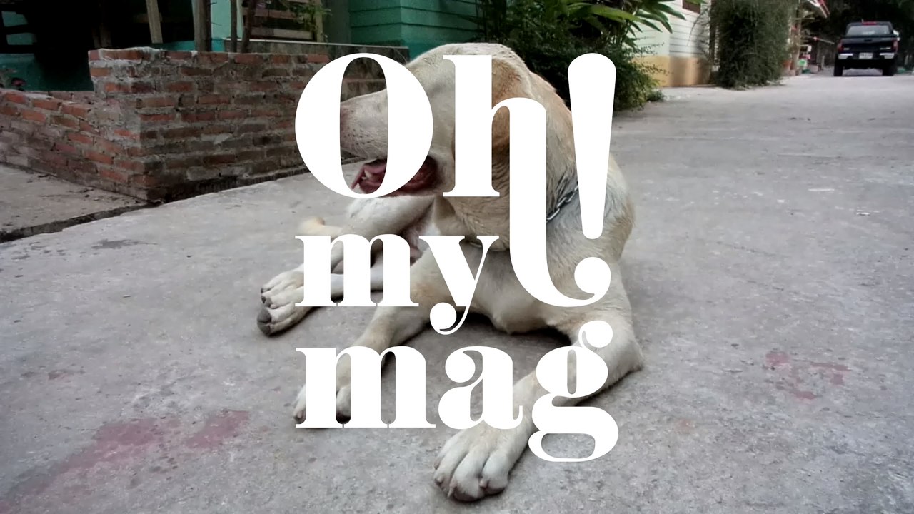 Haustiere im eigenen Garten beerdigen - ist das erlaubt?