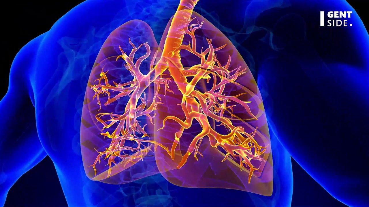 Siegfried stellt nach Roys Tod klar: 'Seine Urne bleibt bei mir'