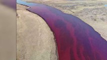 Check Out the ‘Shocking’ Images of This Polluted River That Recently Went Viral
