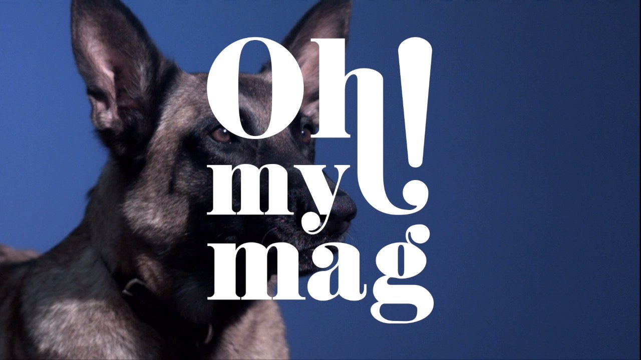 Mann will Hund vor Misshandlung schützen, dann hetzt Halter den Hund auf ihn