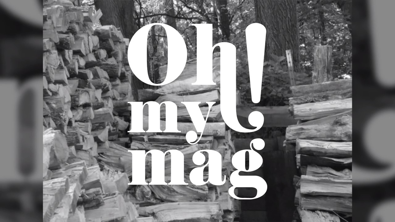 Auf diesem Foto hat sich ein Tier versteckt: Kannst du es finden?