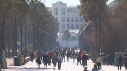 Sanidad no comunicará los informes covid diariamente, sino 2 veces por semana