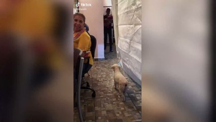 The Internet Can't Get Over This Video of a Man Purposely Falling While Holding a Baby