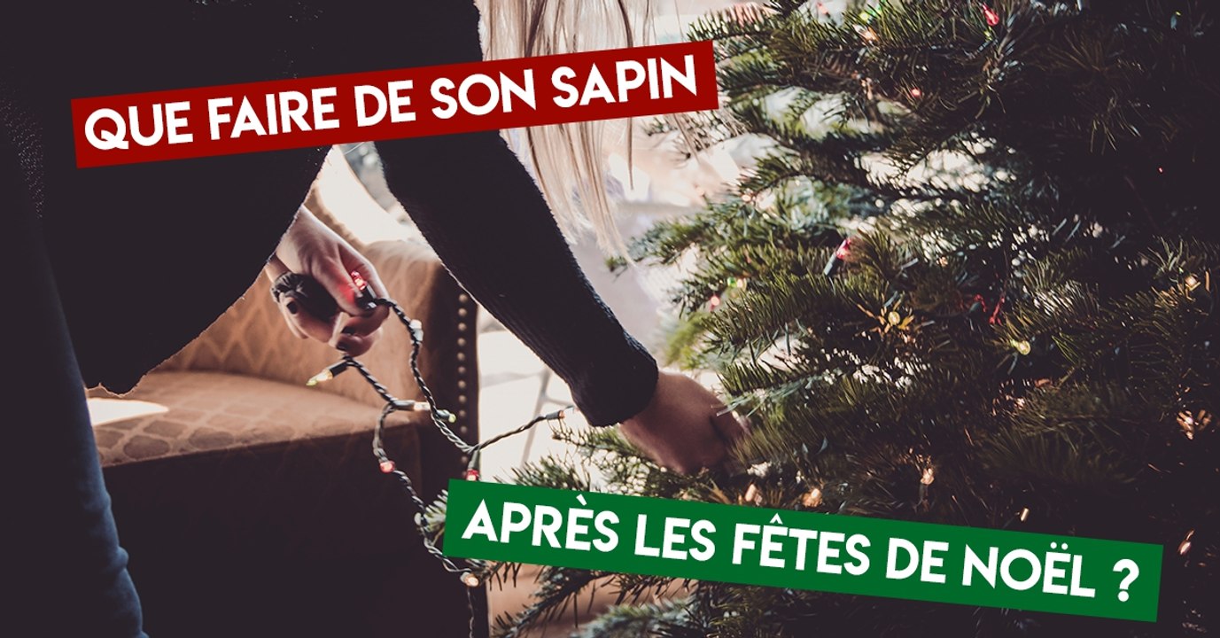 Que faire de son sapin après les fêtes de Noël ?