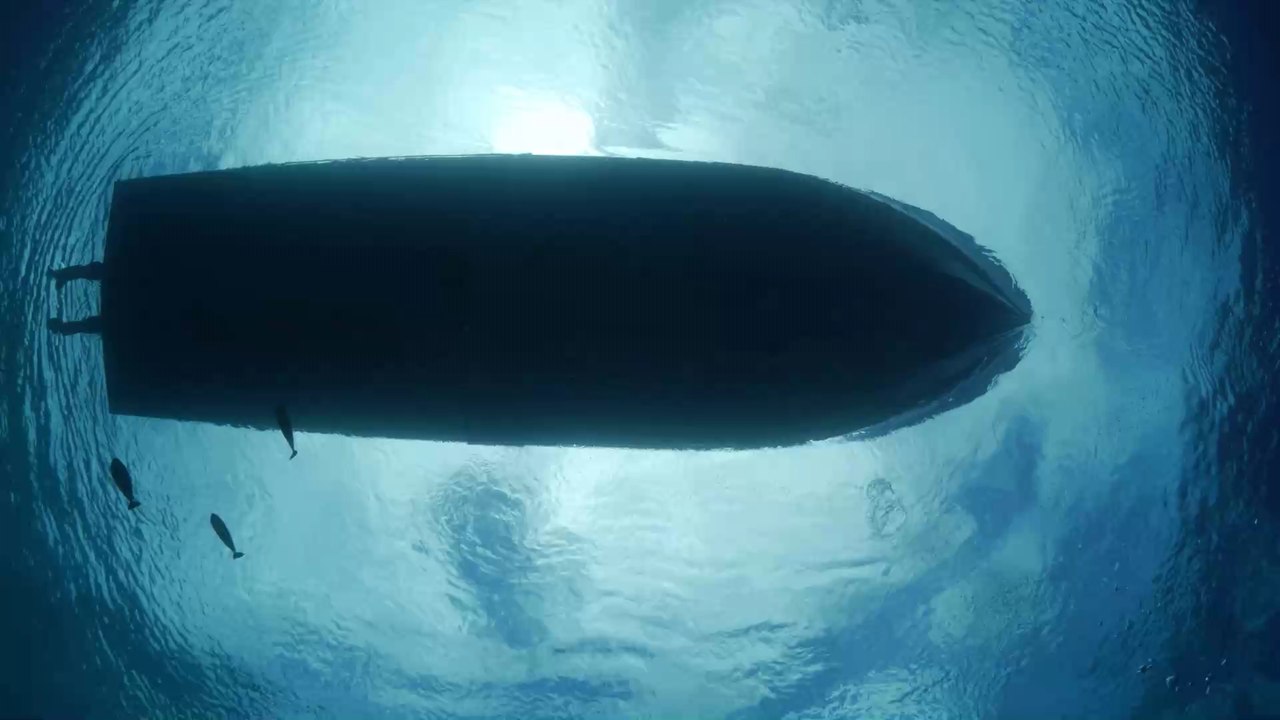 Schwangere Frau springt ins Wasser, um ihren Mann vor Hai-Attacke zu retten