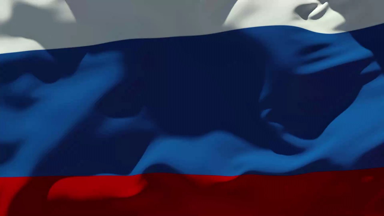 Rätselhaftes Massensterben: Tausende tote Tiere an russischen Stränden