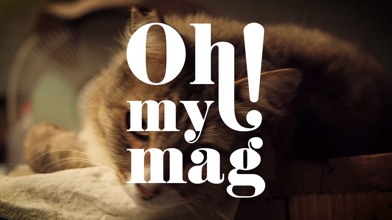 Feline Immundefizienz-Virus: Was muss ich wissen, wenn meine Katze an Aids leidet?