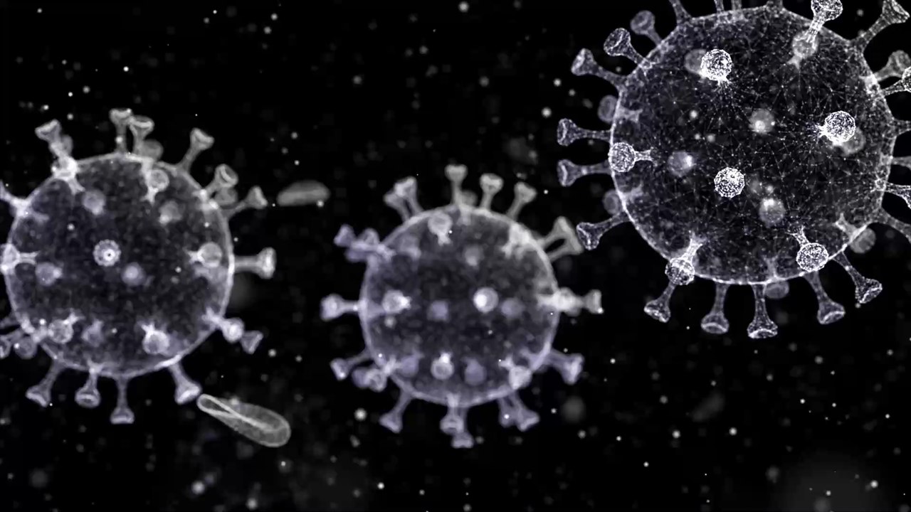Covid-19: Insektenspray soll vor dem Coronavirus schützen