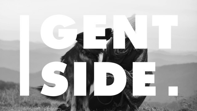 Als sie ihren Hund auf eBay Kleinanzeigen verschenkt, ahnt sie nicht, was ihm zustoßen wird