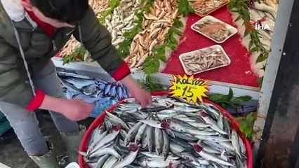 Kilosu 15 lira, kapış kapış satılıyor!
