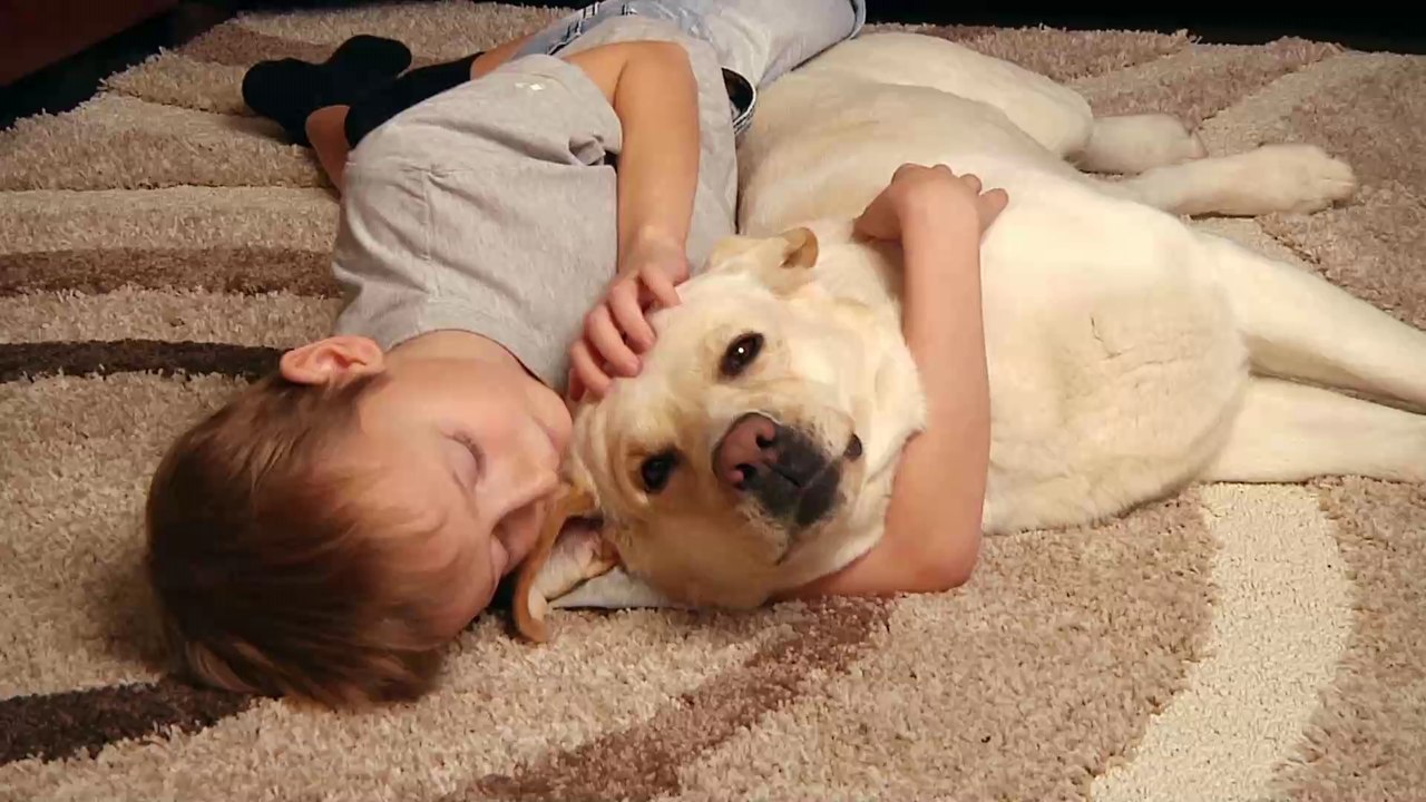 Junge muss auf die stille Treppe: Dann macht sein Hund eine rührende Geste