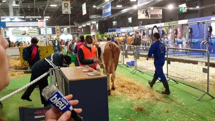 France Bleu Berry en direct du Salon de l'Agriculture ce jeudi 3 mars