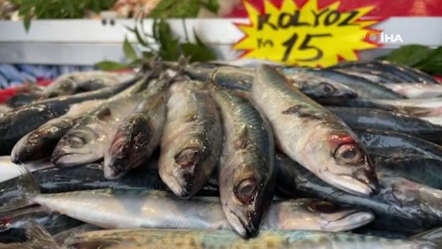 Kilosu 15 lira, kapış kapış satılıyor