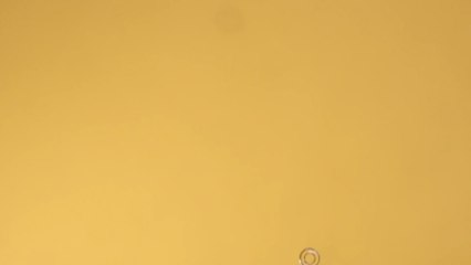 100 % Natur: So könnt ihr euren Raumduft ganz einfach selber machen