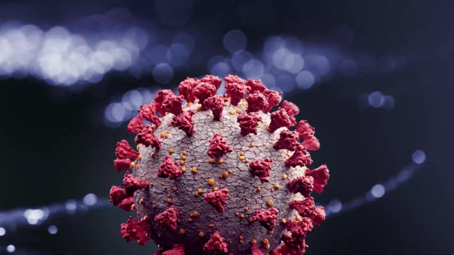 Neues Coronavirus auf Menschen übertragbar: Schweineerreger aus China beunruhigt Forscher
