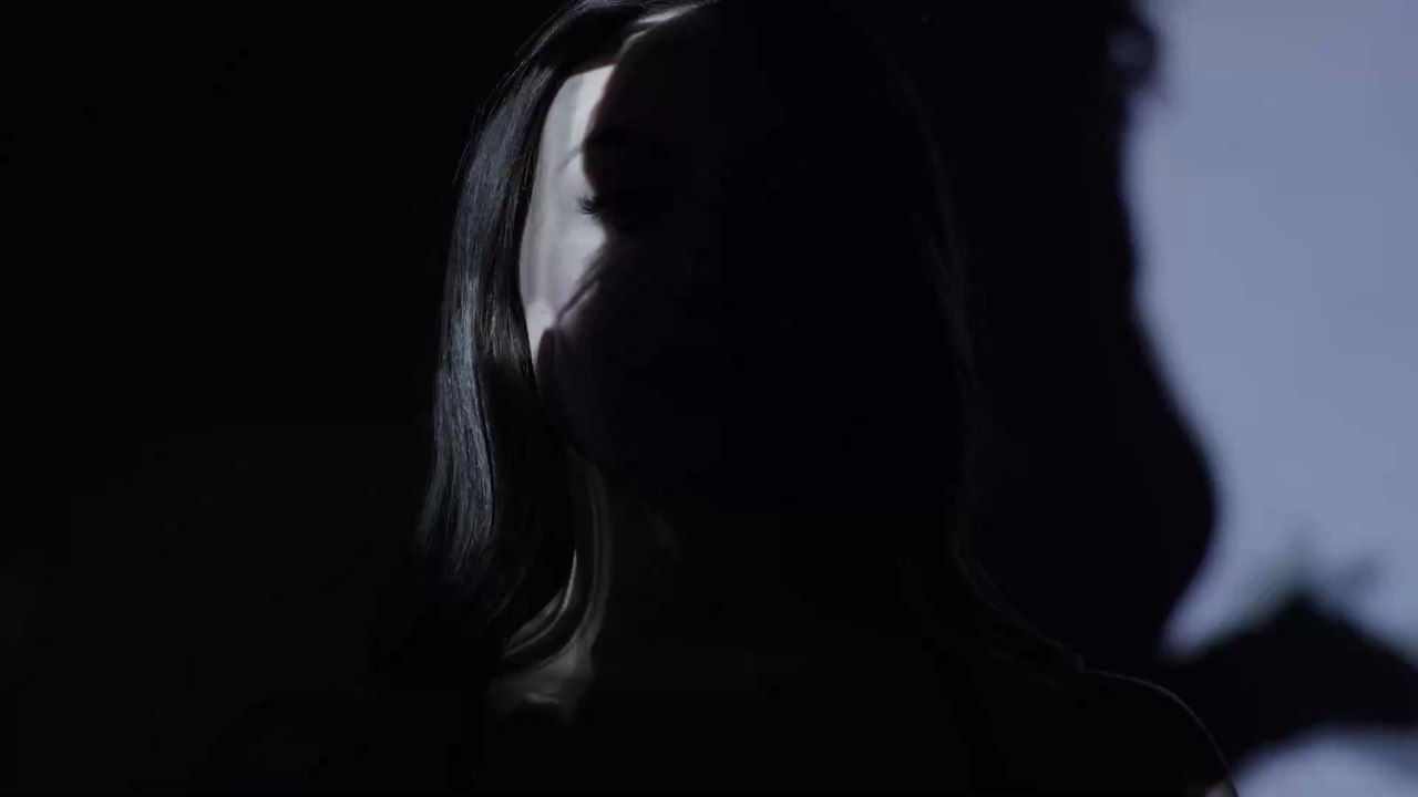 Löwe: Das ist deine Schattenseite