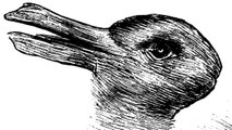 Illusion d'optique : Un lapin ou un canard ? Votre réponse en dirait long sur les capacités de votre cerveau